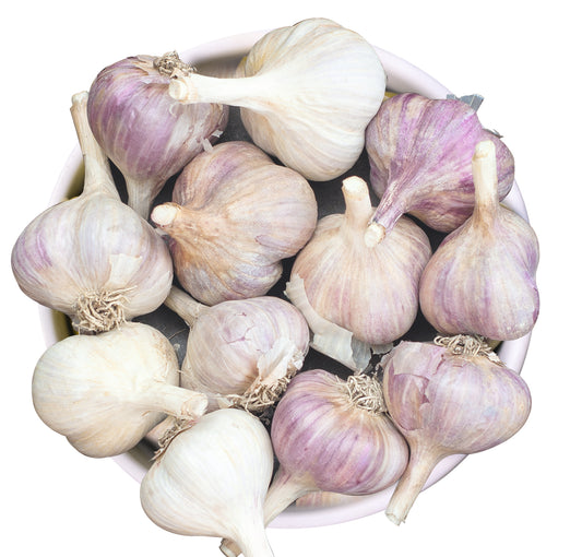 Olivenöl mit wildem Knoblauch