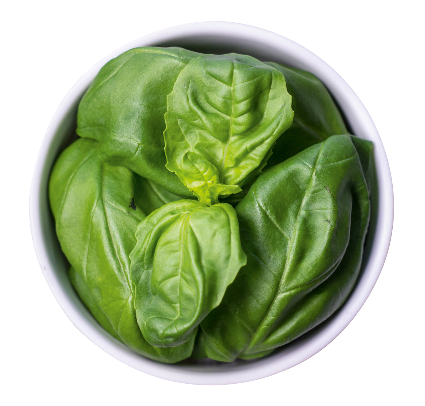 Olivenöl mit Basilikum