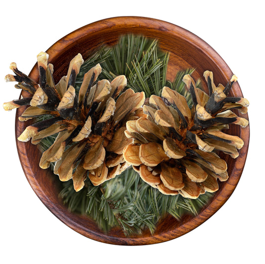 Aceto di pino biologico 